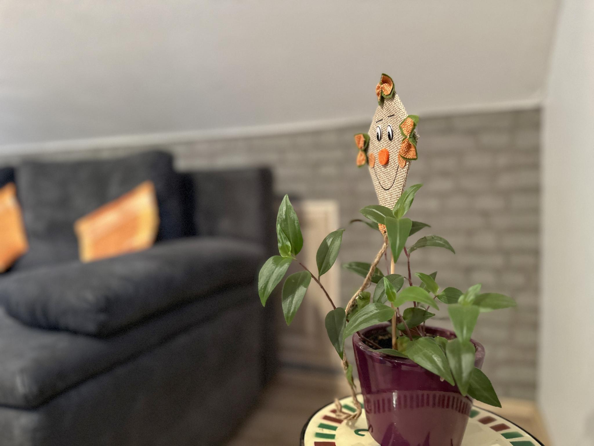 Swimming pool area at Am Sonnenblick in Werda