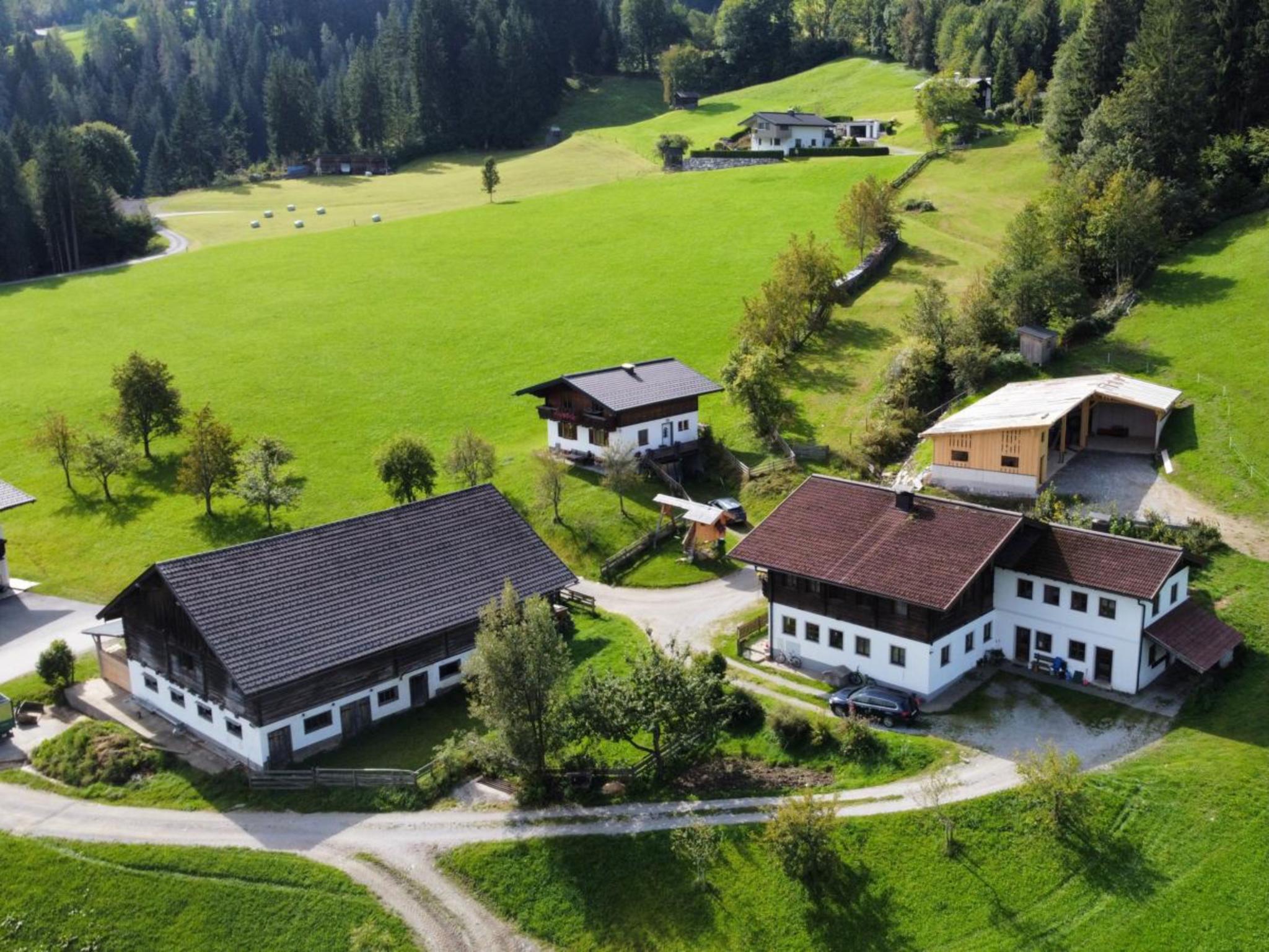 Pehambauer S Salzburgerland