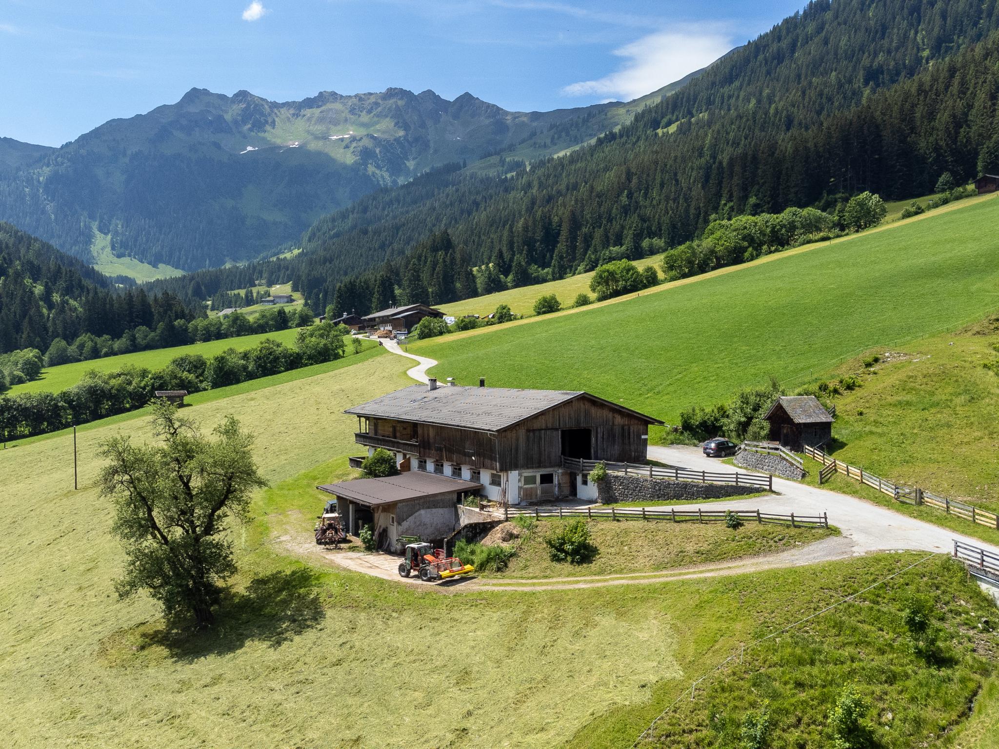 Hacklerhof Top 1 – afbeelding 2
