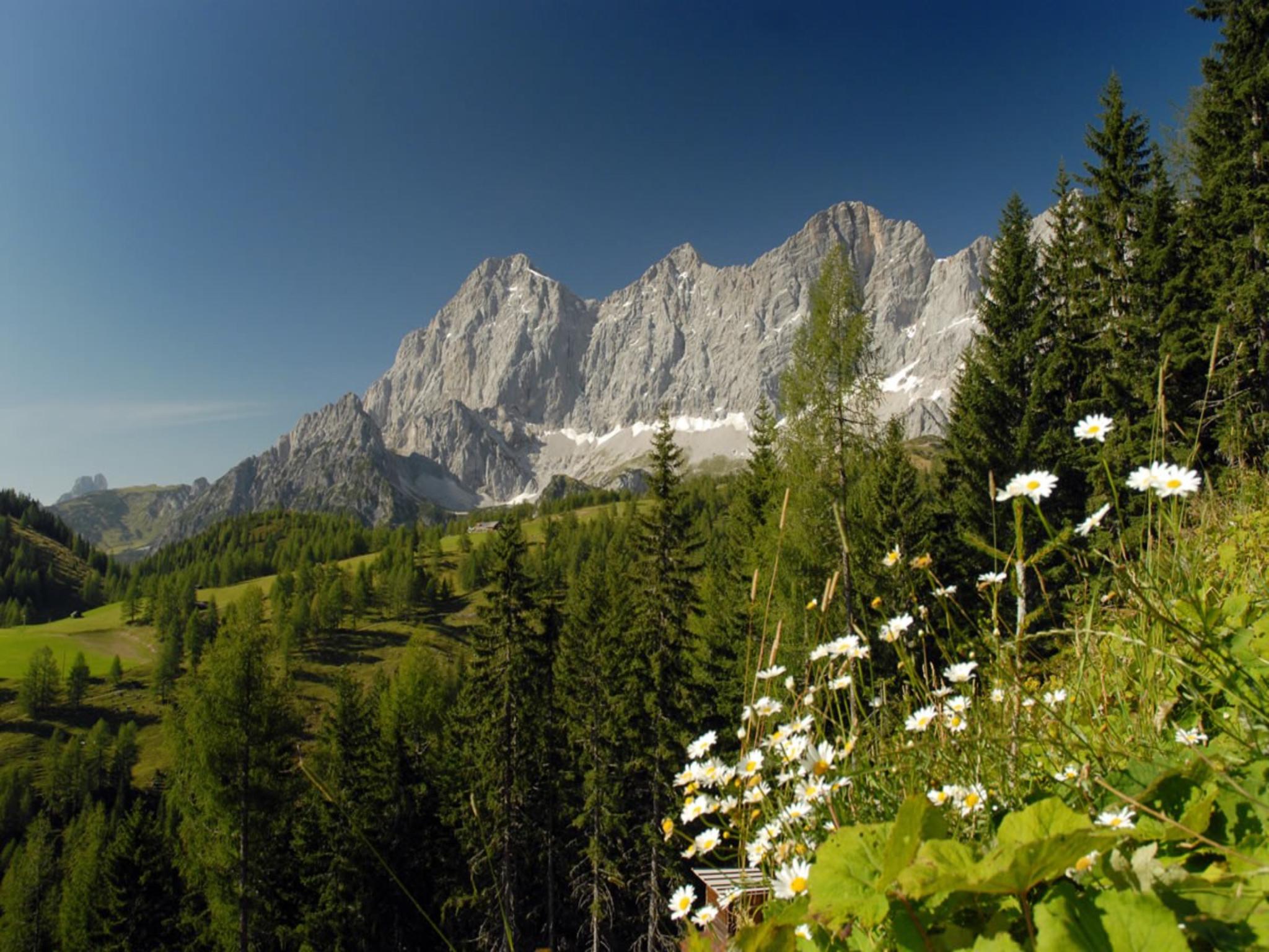 Swimming pool area at Dachstein Grand Alpine Lodge in Mitterberg-Sankt Martin