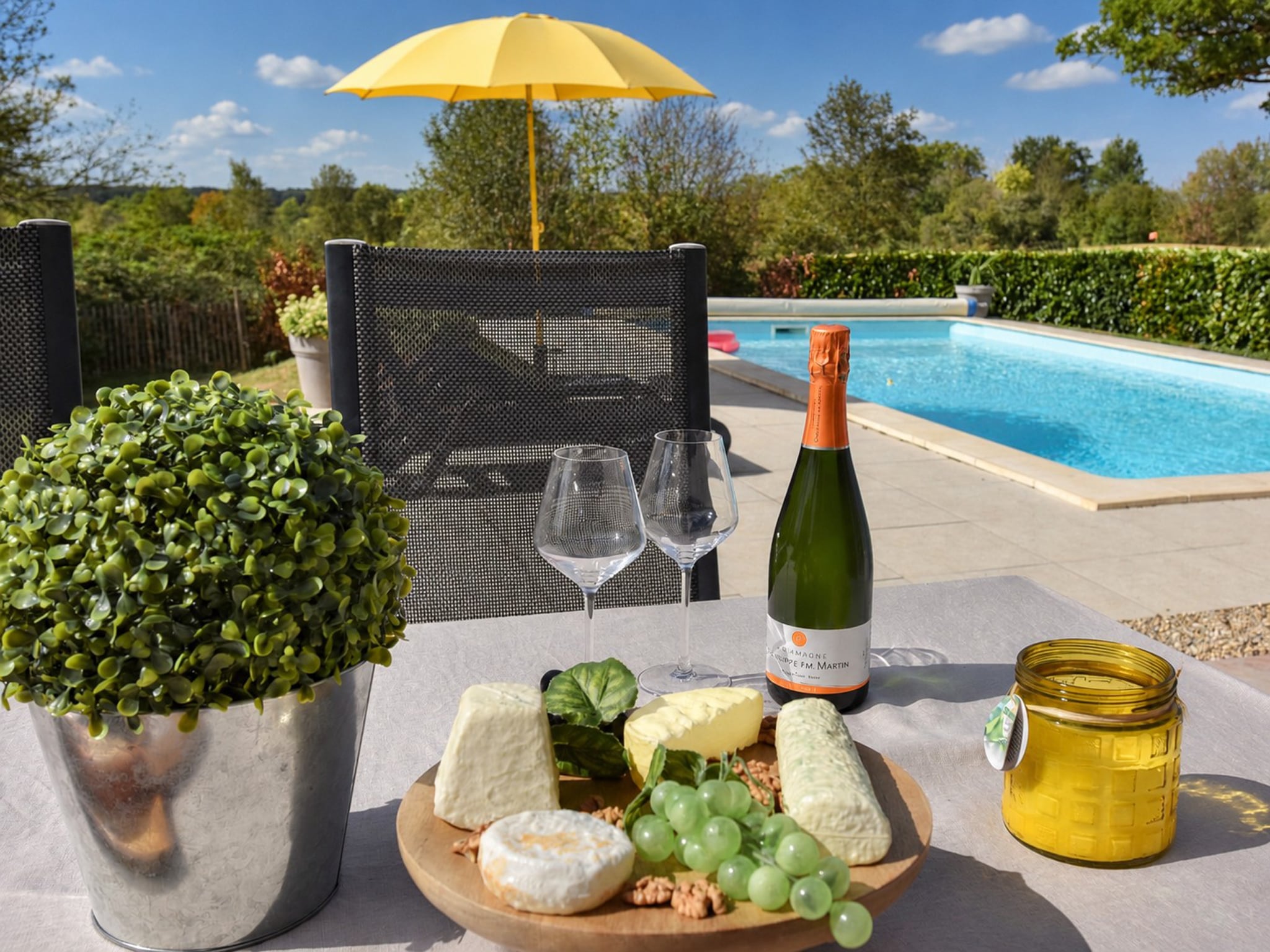 Vieille Vigne 8