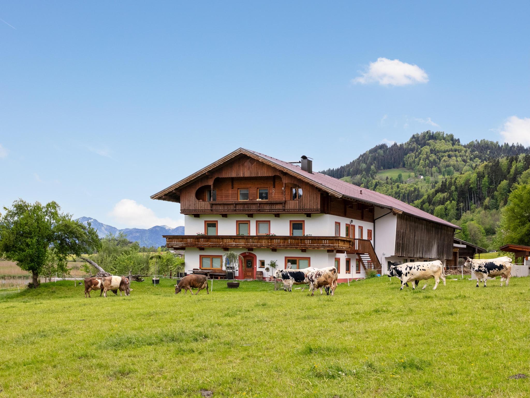 Panorama Suite und Loft am Marschbachhof Tirol