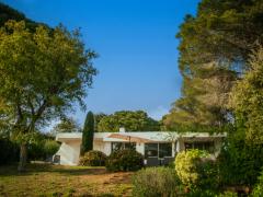 Loumic foto 3