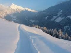 Baier foto 2