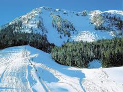 Almhütte Seebergalm foto 2