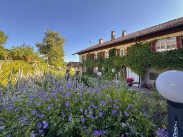 Holiday Home Exterior