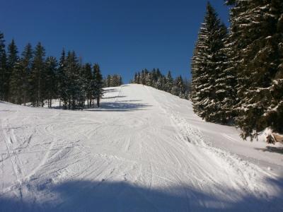 Almhütte Seebergalm foto 13