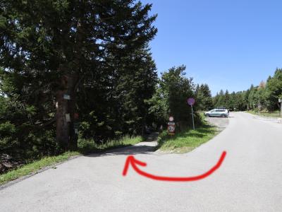 Edelweißhütte foto 17