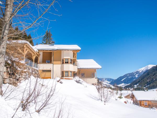 Extérieur maison de vacances [hiver]