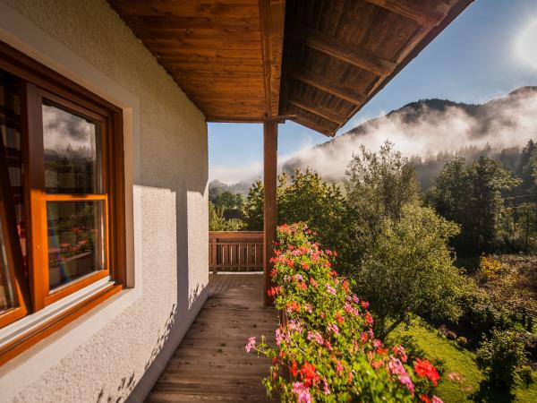 Terrasse / Balkon