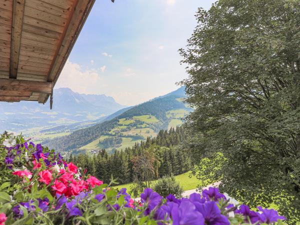 Aussicht vom Ferienhaus [Sommer]