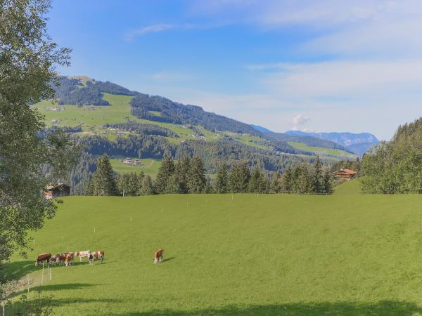 Vue de la maison de vacances [été]