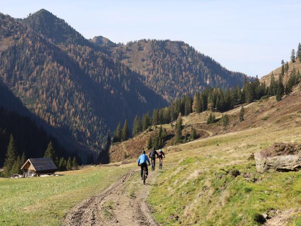 Omgeving [zomer] (1-5 km)