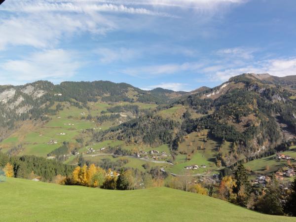 Aussicht vom Ferienhaus [Sommer]