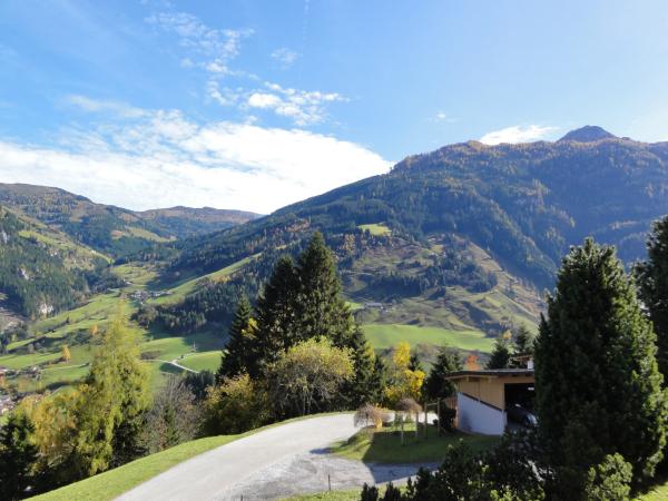 Aussicht vom Ferienhaus [Sommer]