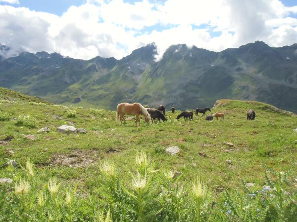 Ausstattung und Service des Ferienhauses