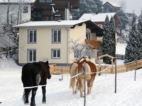 Ausstattung und Service des Ferienhauses