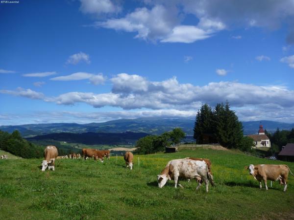 Surroundings [summer] (1-5 km)