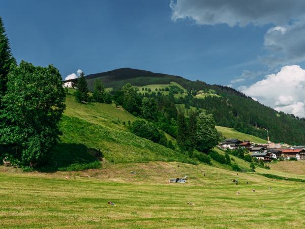 Vue de la maison de vacances [été]