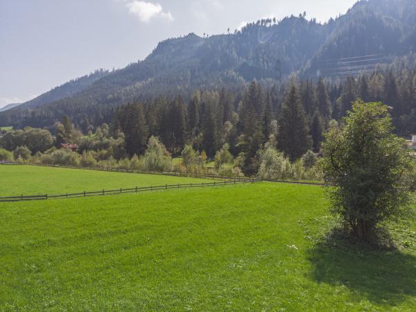 Aussicht vom Ferienhaus [Sommer]