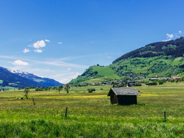 Surroundings [summer] (1-5 km)