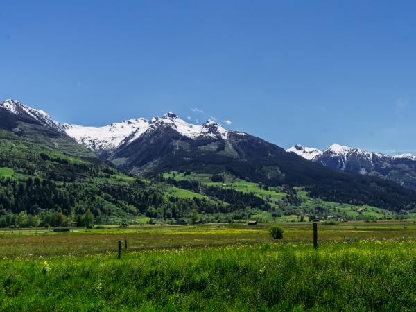 View from Holiday Home [summer]