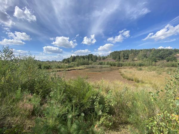 Dans les environs [été] (1-5 km)