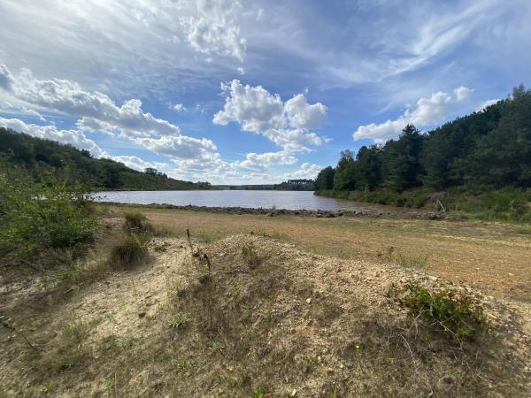 Omgeving [zomer] (1-5 km)