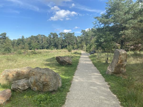 Omgeving [zomer] (1-5 km)