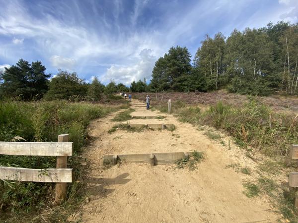 Omgeving [zomer] (1-5 km)