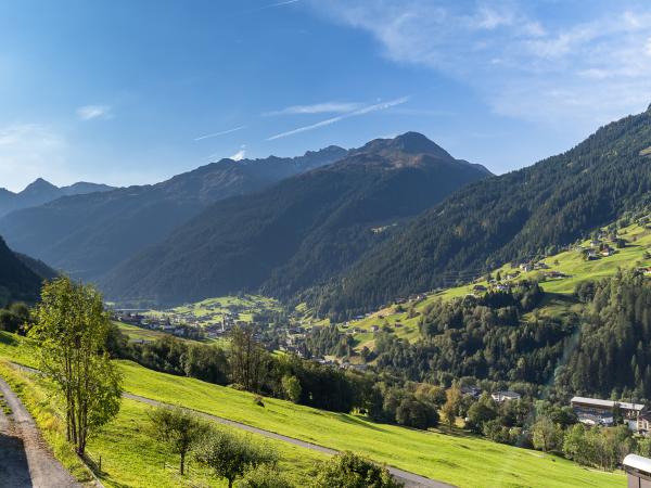 Aussicht vom Ferienhaus [Sommer]