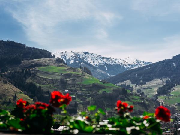 View from Holiday Home [summer]