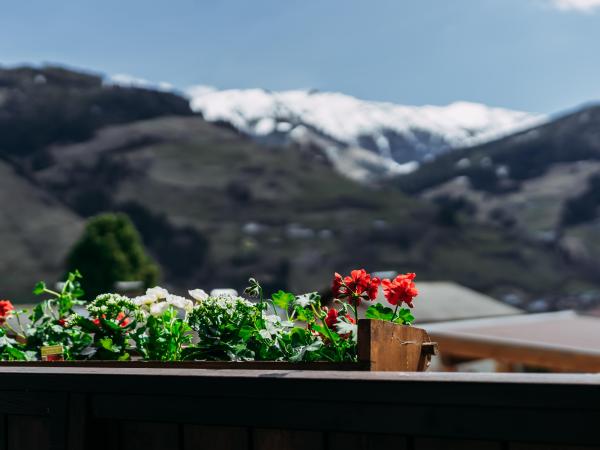 View from Holiday Home [summer]