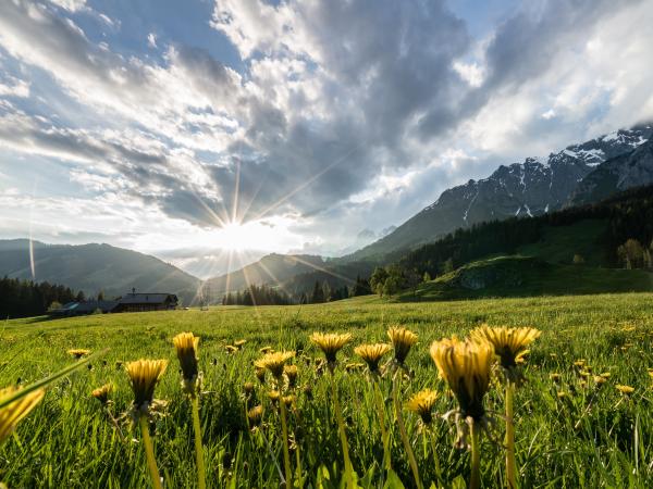 Direkte Umgebung [Sommer] (<1 km)