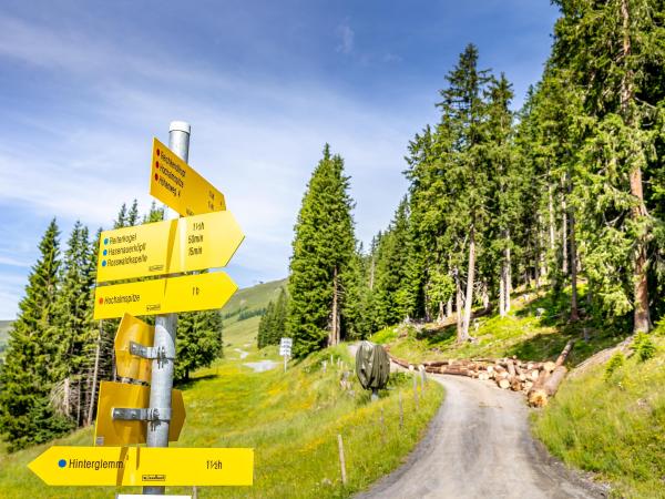 Dans la région [été] (>5 km)