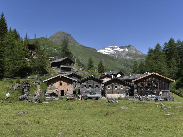 Dans les environs [été] (1-5 km)