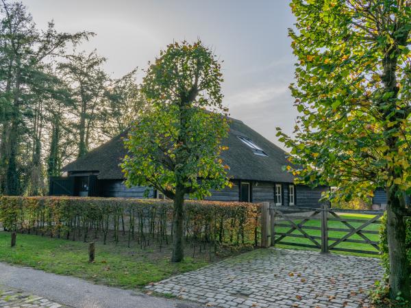 Außenseite Ferienhaus [Sommer]