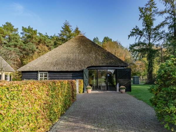 Extérieur maison de vacances [été]