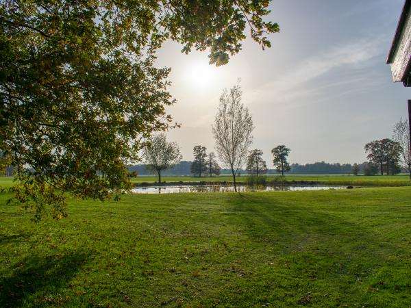 Aussicht vom Ferienhaus [Sommer]