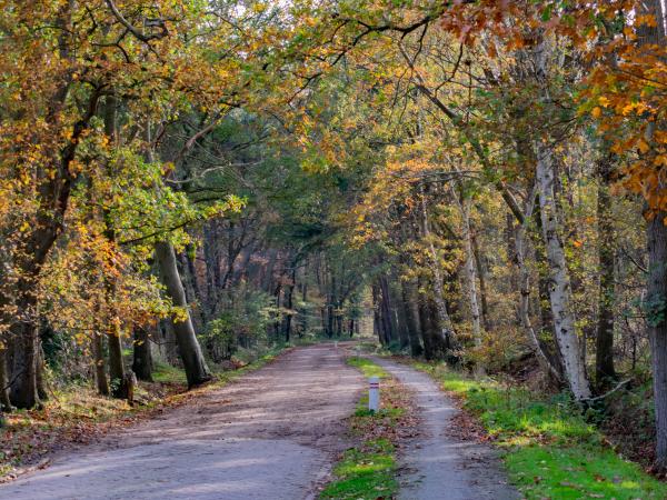 Dans les environs [été] (1-5 km)