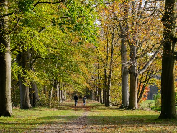 Dans les environs [été] (1-5 km)