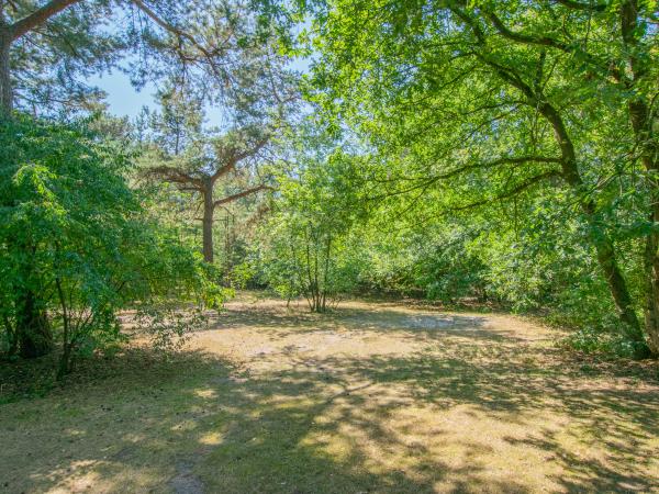 Uitzicht van vakantiehuis [zomer]