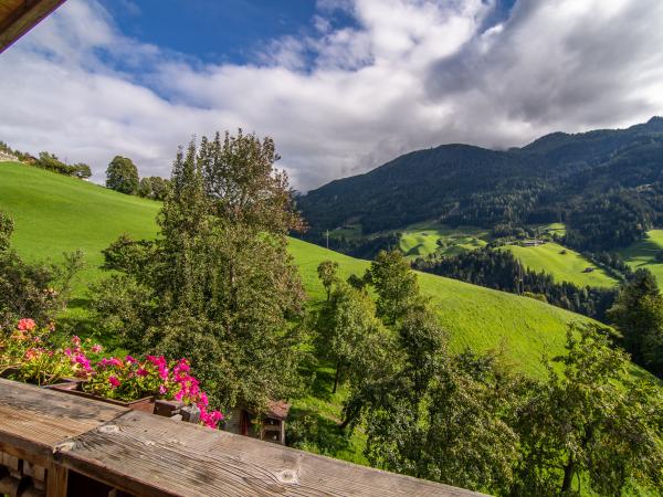 Aussicht vom Ferienhaus [Sommer]