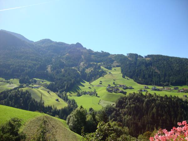 Vue de la maison de vacances [été]