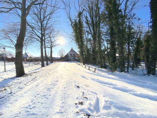 Vue de la maison de vacances [hiver]