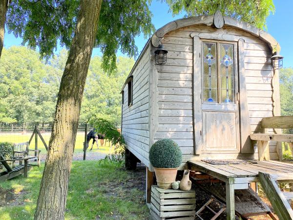 Extérieur maison de vacances [été]