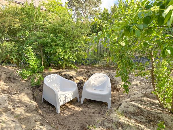 Jardin [été]