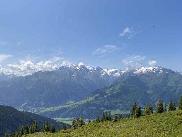 Dans les environs [été] (1-5 km)