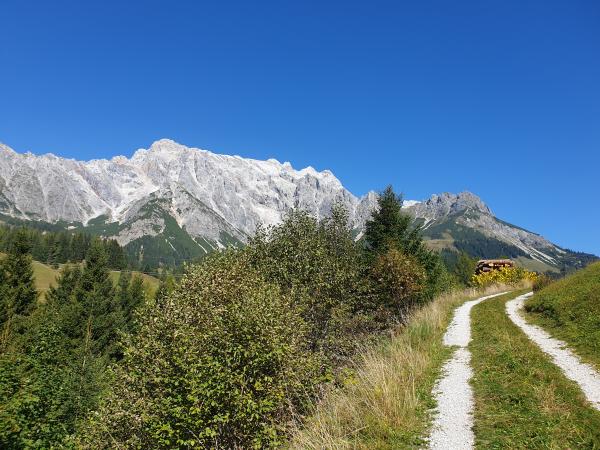 Dans les environs [été] (1-5 km)