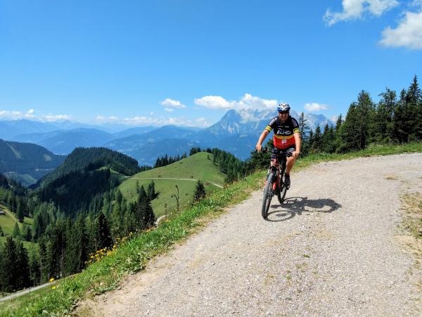 Omgeving [zomer] (1-5 km)